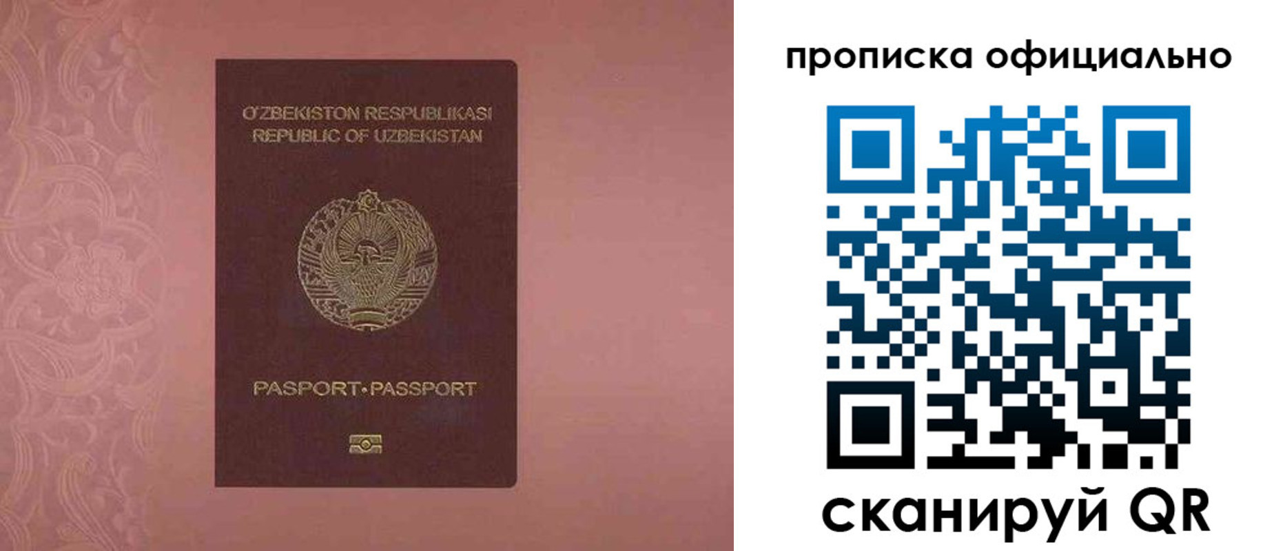 прописка гарантия в Светлом